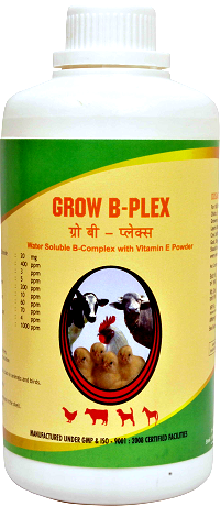 Animal Feed Supplements of Vitamin B Complex Manufacturer Supplier Wholesale Exporter Importer Buyer Trader Retailer in Bangalore Karnataka India